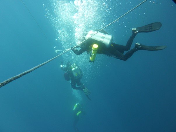Diving for Cures