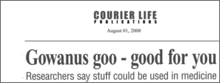 Brooklyn Paper